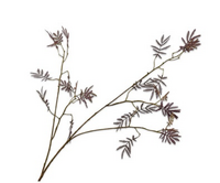 Mimosatak l96cm bordeaux