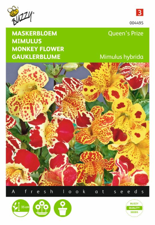 Mimulus cupreus queens 0.2gram - afbeelding 1