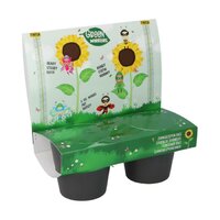 Mini greenhouse edible flowers