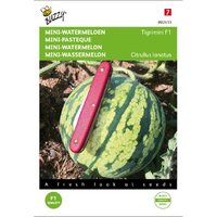 Mini-watermeloen tigrimini 6zdn