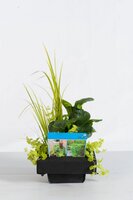 Mix mand 18 cm met drijfring