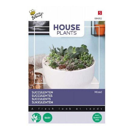 Mixed succulents vetplanten