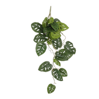 Monstera hang l80cm groen