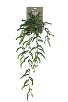 Monstera hanger l70cm groen