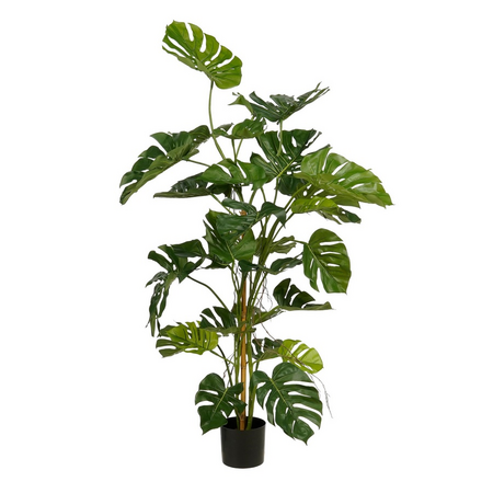 Monstera in pot d120h140cm groen