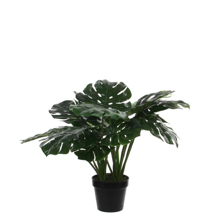 Monstera in pot d80h60cm groen (Zijde-plant)