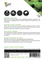 Muis meloen cucamelon 15zdn - afbeelding 2