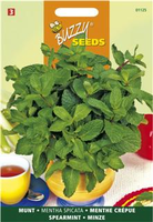 Munt kruizemunt 0.1g - afbeelding 3