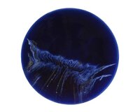 Muurdeco ijzer d40.5h7cm blauw