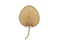 Muurdeco palmblad l41b68h1cm ntrl