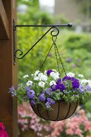 Muurhaak knop zwart h31b39cm - afbeelding 2