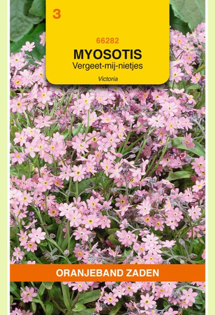 Myosotis alpes victoria rose 0.25g - afbeelding 1