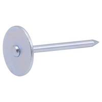 Nagels plat d20mm 3.1x40mm 10st