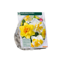 Narcis dubbel mix 15st