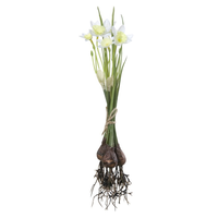 Narcis met bol l25cm wit (Zijde-plant)