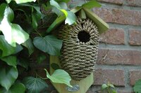 Nestkast buidel zeegras - afbeelding 2