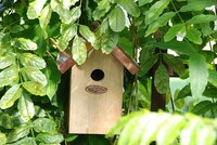 Nestkast winterkoning koper L11 B14 H20 CM - afbeelding 2