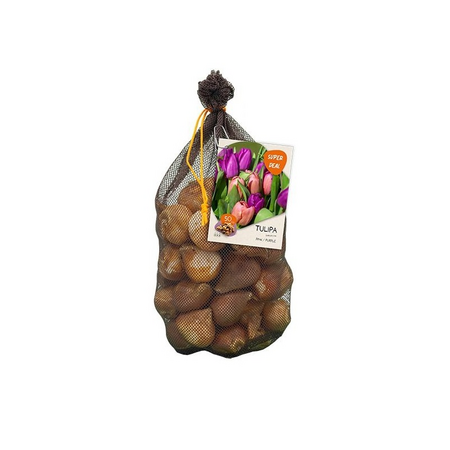 Netlon tulipa mix r/p 30st