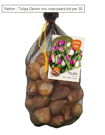 Netlon - tulipa mix r/p/w per 30