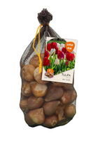Netlon tulipa mix r/w 30st