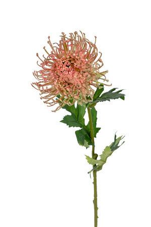 Nutansteel l55cm roze