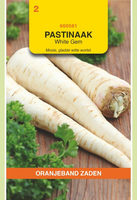 Obz pastinaak white gem