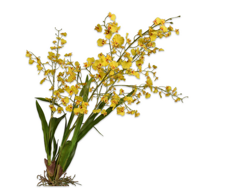 Oncidiumsteel l103cm geel