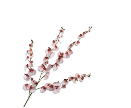 Oncidiumsteel l118cm roze