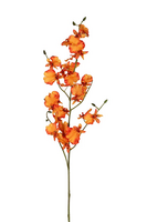 Oncidiumsteel l90cm oranje