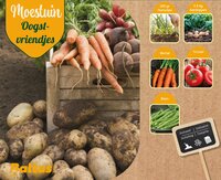 Oogstvriendjes kweekkist