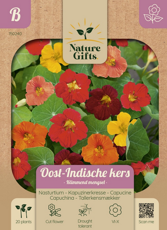 Oost-indische kers klimmende mengsl 20st