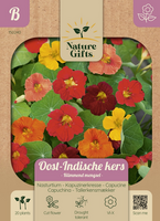 Oost-indische kers klimmende mengsl 20st