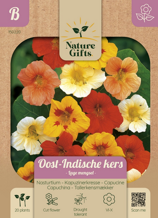 Oost-indische kers lage mengsel 20st