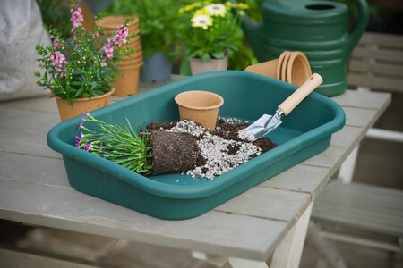 Oppotschaal groen h11b59d39cm