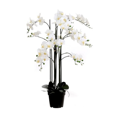 Orchidee in pot l35b35h117cm creme (Zijde-plant)