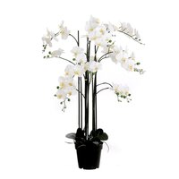 Orchidee in pot l35b35h117cm creme (Zijde-plant)
