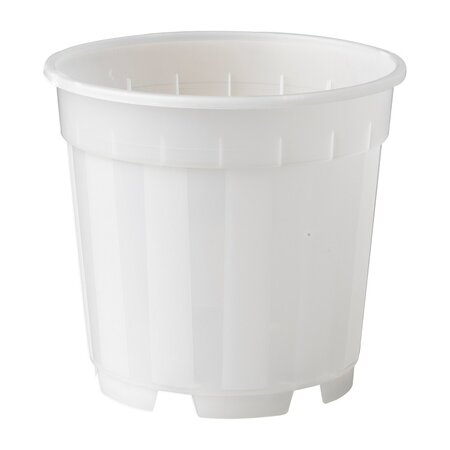 Orchidee pot transparant d12cm - afbeelding 1