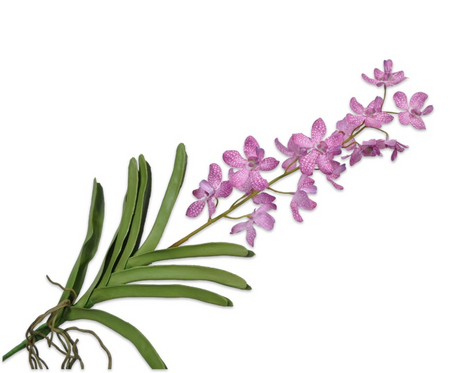 Orchideesteel l72cm roze