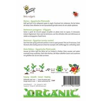 Organic biet egyptische 1.5g - afbeelding 2