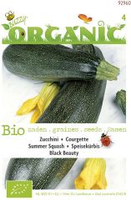 Organic courgette black beauty 2g - afbeelding 3