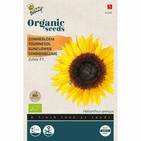 Organic helianthus zohar f1  1gram