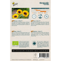 Organic helianthus zohar f1  1gram - afbeelding 2