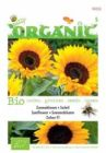 Organic helianthus zohar f1  1gram - afbeelding 3