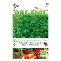 Organic koriander 3gram - afbeelding 1