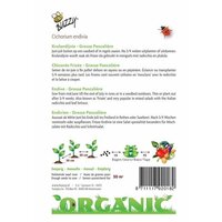 Organic krulandijvie pancaliere 2gram - afbeelding 2