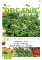 Organic peterselie gigante dital 2g - afbeelding 3