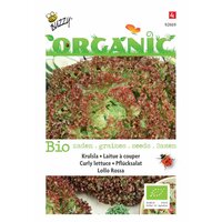 Organic pluksla lollo rossa 0.5g - afbeelding 1
