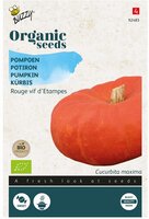 Organic pompoen etampes 2.5g - afbeelding 1