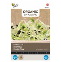 Organic sprouting zonnebloem 30g
