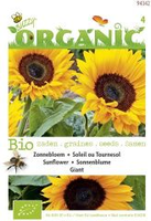 Organic zonnebloem giganteus 3gram - afbeelding 3